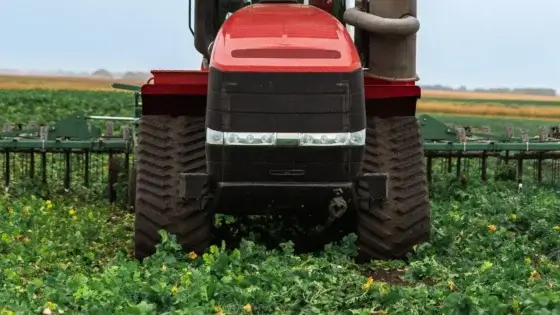 Pick the termination method that suits your farm best.