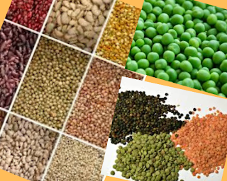 Effective Immune Boosting Foods For Babies
