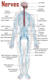 Facts to Consider About Smoking-Related Diseases