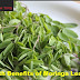 Health Benefits Moringa Leaves