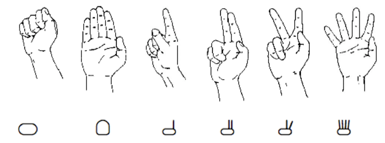 Podcast episode 61: Adam Schembri on sign language linguistics