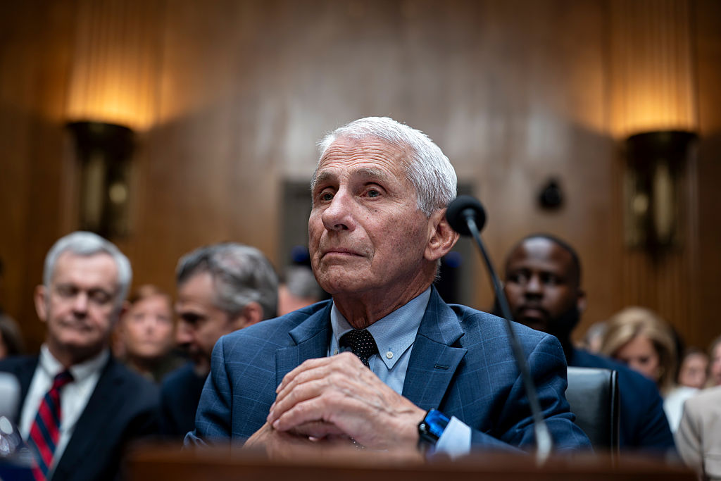 What It Means to Plead the Fifth Amendment