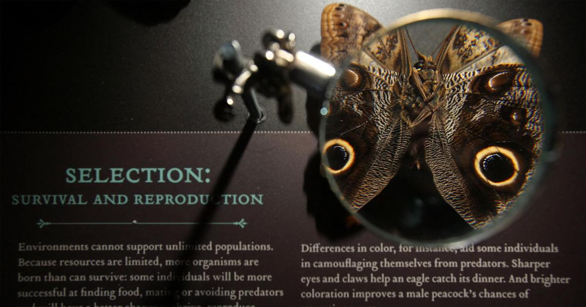 An evolutionary model that predates Darwin’s natural selection is making a comeback