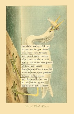 Death and How to Be More Alive: Carl Jung on Immortality and the Rebirth of Middle Age