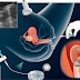Embryo transfer is the final medical procedure in an IVF cycle