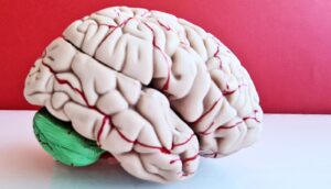 Laser therapy offers new weapon against deadly brain cancer