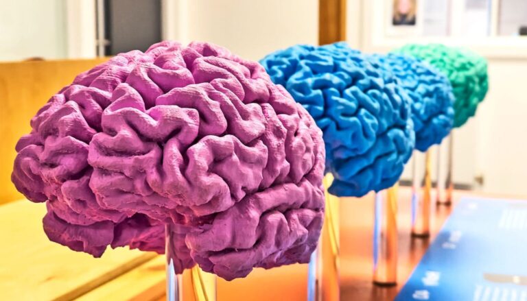 How ketamine reshapes brain activity in older adults