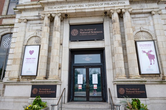 How The U.S.’s Oldest Natural History Museum Might Meet Its End
