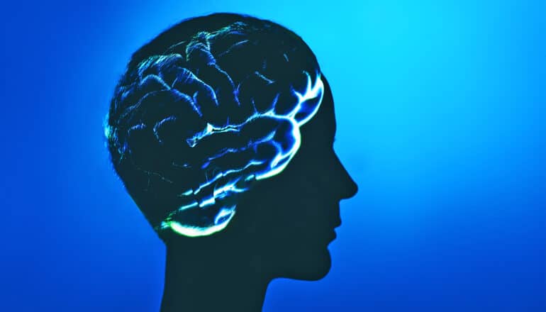 How your brain and body work together to shape experience