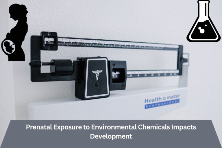 Prenatal Exposure to Environmental Chemicals Impacts Development