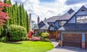 Scan Through Five Green Shoots Gleaming in NZ Property Market