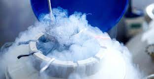 Should you freeze your eggs ?