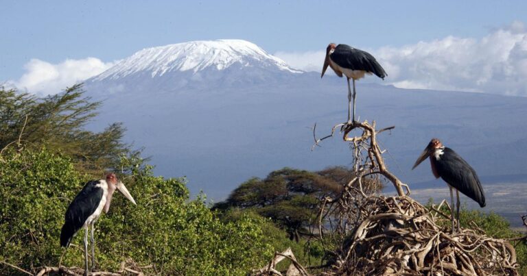 Snow will vanish forever from East Africa’s iconic mountain peaks