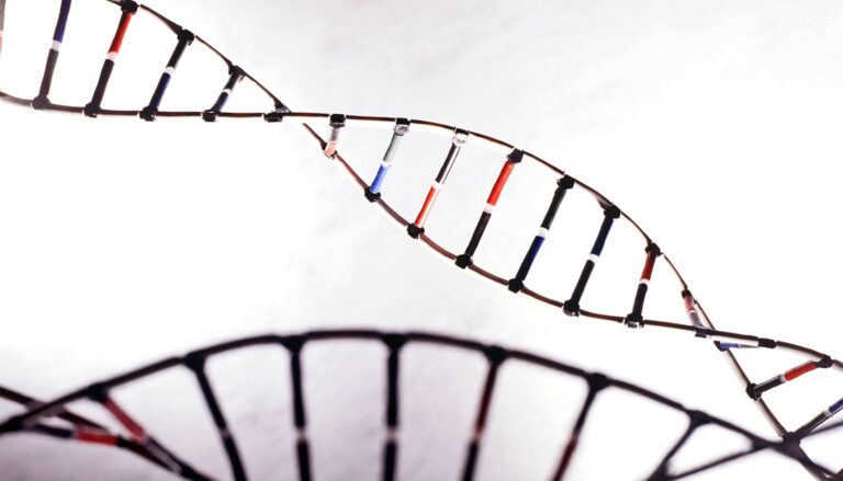 Team finds new layer of the human genome