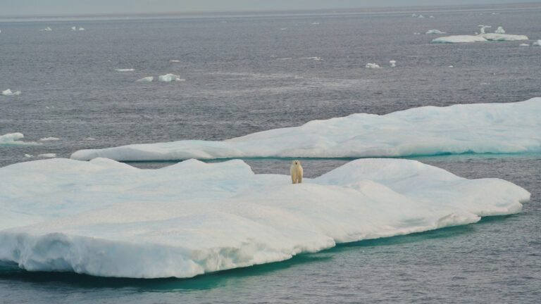 The Arctic Report Card Matters More Than Ever; AGU Joins Partners to Publish in 2026