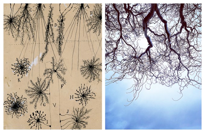 The Fascinating Science of How We Think Not with the Brain But with the World