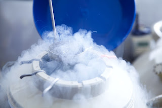 Why you should freeze all your embryos when doing IVF